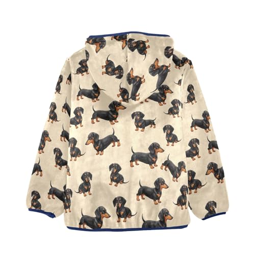 Cute Dachshund Dogs Beige Boys Winter Jacket, Boys Hooded Jacket Comfy for Fall Winter Spring 3T2