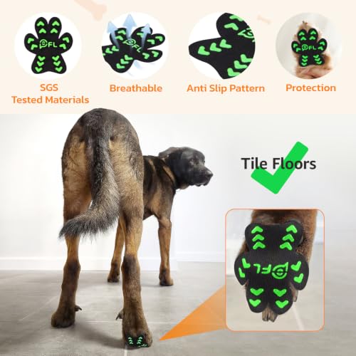 Image of Anti Slip Toe Grips for Senior Dogs on Hardwood Floor 48 Pcs BG M