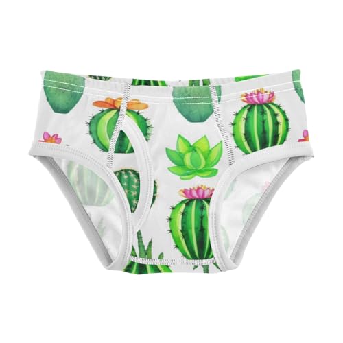 ODAWA Cacti Succulents Toddler Cotton Underwear, Boy Underwear 2T