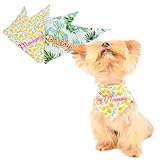 YorkieGogo 2-Pack Cotton Bandanas for Small & Teacup Dogs, Cats, and Rabbits - Pet Birthday Outfit, Vacation Style, Cute and Sweet Handcrafted Gift, Pauelos para Perro (Vacation, XXS)