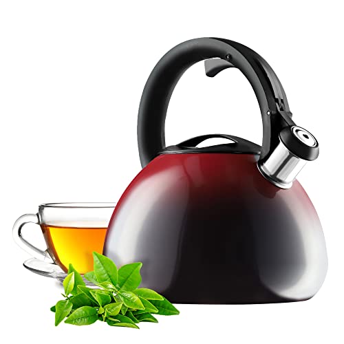 KADAX Teekessel, Edelstahl Flötenkessel, 3L Wasserkocher, Retro Kessel in...