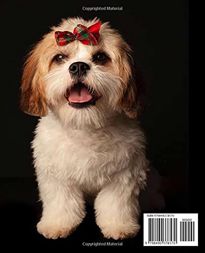 Composition Notebook: Cottagecore College Ruled Paper Notebook for Home School Supplies Students, Teachers, kids, teens, and adults (7.5 x 9.25, 110 Pages) dog wearing Christmas ribbon image 3