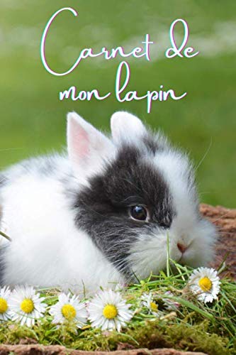 carnet de mon lapin: Carnet de santé, vaccination, visites vétérinaire de mon lapin. Ce carnet de santé est un cadeau idéal afin de suivre la santé ... Format: 15,24 cm sur 22,86 cm 101 pages