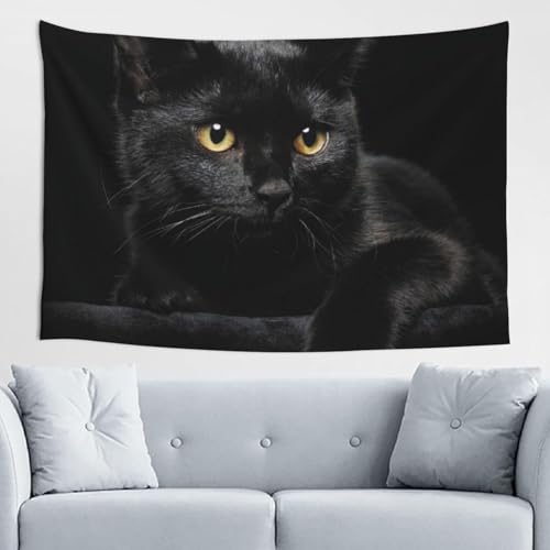 ^yXg[  L lR L.. t@ubNpi  A[gvg Ǌ| z CeA |X^[ wiz