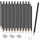 sqzrmdcg 36 PCS Black Colored Pencils, Pre-sharpened Professional Wooden Art Pencils Set for Artists Painting | Premium Drawing Sketching Supplies (Black)