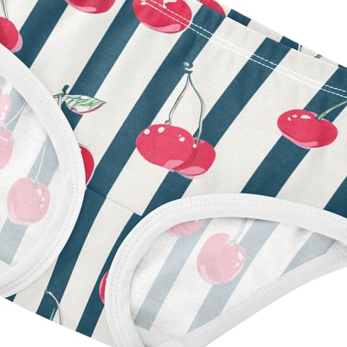 Wusikd Cherries Stripes Girls' Underwear Cotton Girls Briefs Soft Toddler Underwear 2T4