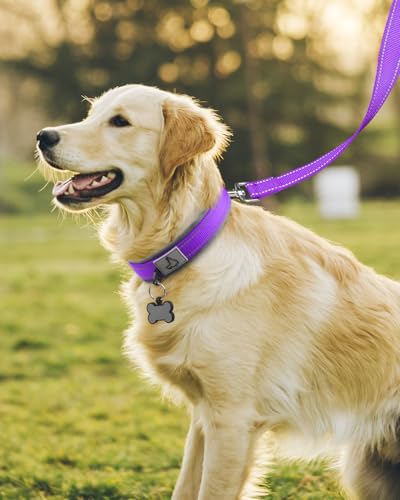 Image of Joytale Dog Collar for Large Dogs, Neoprene Padded and Adjustable, Reflective Wide Heavy Duty Pet Collars with Durable Metal Belt Buckle for Walking, Purple, L