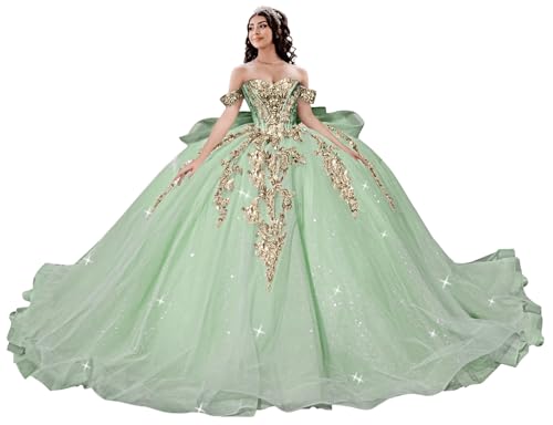 TRHTX Off Shoulder Quinceañera Dress Sage Birthday Gown Size 6