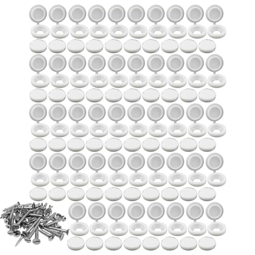 XN[Jo[LbvAlWpLbv 100{ | M4Vb^[XN[LbvA@\qWtXN[Jo[LbvAƒp܂肽݃XN[XibvJo[