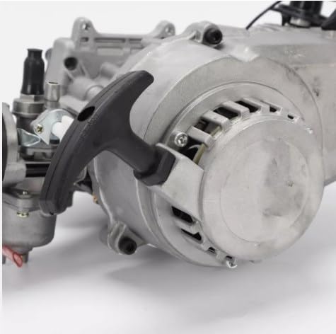 49CC 2 Stroke Engine Motor Pull Start Engine Starter Motor for Pocket Bike Mini Quad Bike Scooter ATV, Engine Motor Replacement Kits (US Stock)