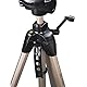 Hama Leichtes Einsteiger-Dreibeinstativ mit 3-Wege-Kopf, Star 63 166-3D, Champagner