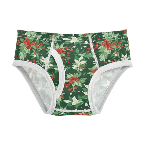 visesunny Boys Cotton Underwear Mistletoe Red Fruit Printed Toddler Soft Training Briefs Size 2T-8Y for Kids