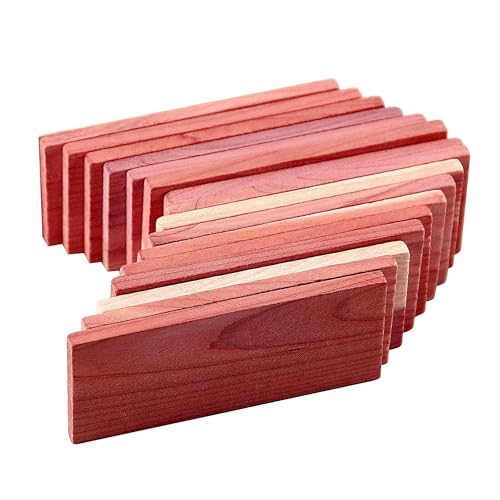 CUIYKAI Cedar Blocks for Closet Storage 16Pcs