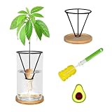 Avocado Tree Growing Kit with Bottle Brush Avocado Figurine, Bamboo Base, Avocado Seed Starter Vase Glass Plant Pot Easy Seed Sprout Starter Gift for Gardening Lovers Home Office Table Decoration