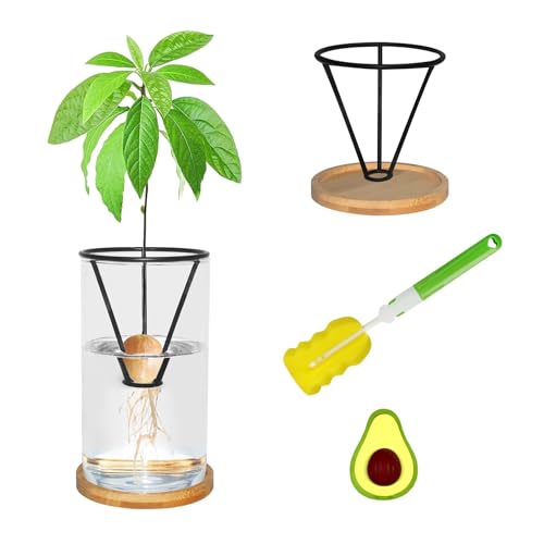 Avocado Tree Growing Kit with Bottle Brush Avocado Figurine Bamboo Base Avocado Seed Starter Vase Glass Plant Pot Easy Seed Sprout Starter Gift for Gardening Lovers Home Office Table Decoration
