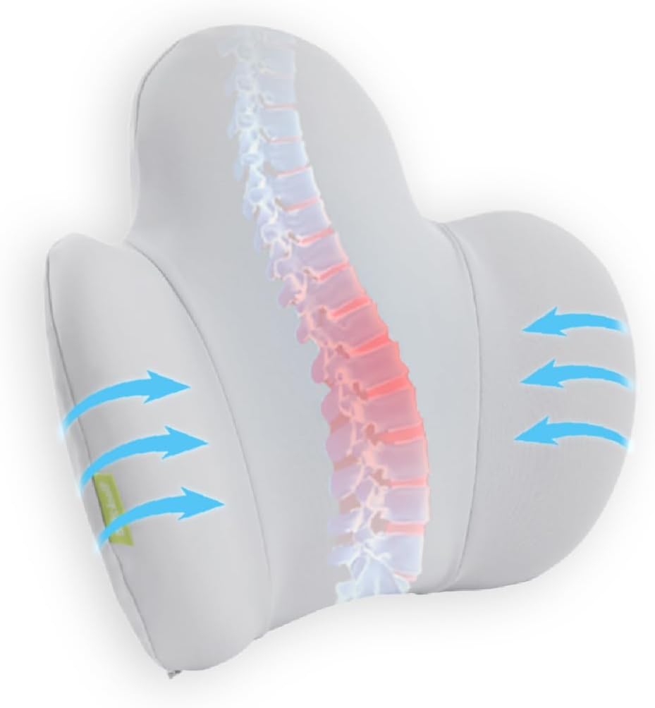 Lumbar Support Pillow for Office Chair, Gaming Chair, Car Driver Seat Back Cushion, Bed & Couch, Gifts for Friends and Parents,Ergonomic Back Support Pillow with Comfortable Memory Foam(Grey)