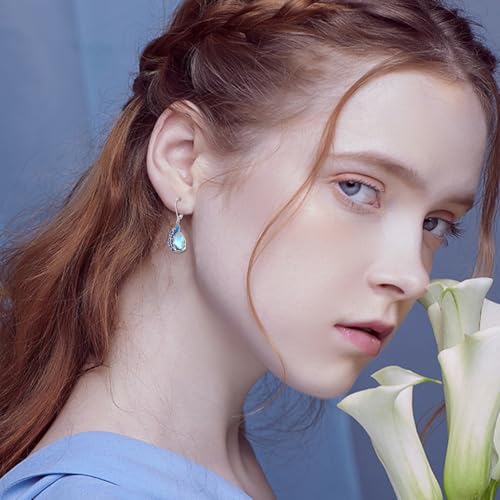 Phoenix/Cardinal/Owl/Hummingbird/Blue Jay/Parrot/Peacock/Dove Dangle Earrings 925 Sterling Silver Bird Animal Earrings Valentine's Day Birthday Gift for Women4