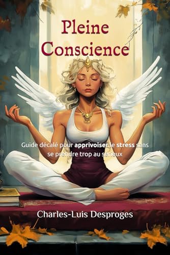 Pleine conscience: Guide décalé pour apprivoiser le stress sans s...