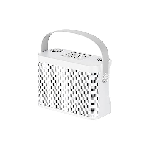Flcivsh de Altavoces con 2 MicróFonos Altavoces PortáTiles InaláMbricos Compatibles con Bluetooth Home TV Ktv Set