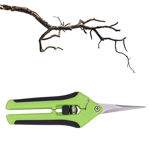 Tijeras de jardinería en la cabeza directa, cizallas de hojas de poda de acero inoxidable de acero inoxidable para recoger poda y modelado