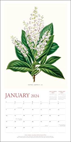 New York Botanical Garden 2024 Wall Calendar