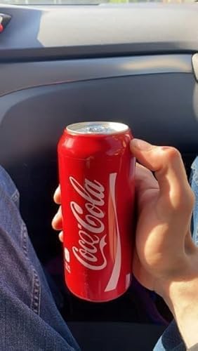 Bier zu Decken bierflaschenkühler Cola Bierflasche Cup-Abdeckung Hülle Can Flaschenhalter Thermal-Beutel Compatible with Camping-Reisen Wandern Hide a Bierdose flaschenkühler bierkühler 1 pcs 500ml