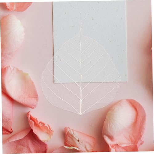 20 hojas secas prensadas para manualidades DIY miniatura 5
