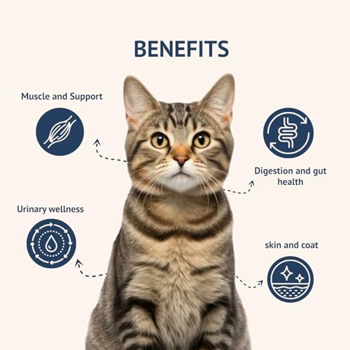 Image of Goofy Tails Mackerel and Chicken Wet Cat Food and Kitten Food, 420g (70g X 6 Pouches), Preservative Free, Gluten & Grain Free, Balanced Cat Wet Food, Powered by Taurine with Omega 3 & Antioxidants