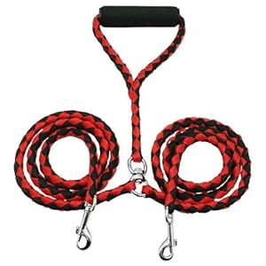 Fenhaodian Doppelleine für Zwei Hunde