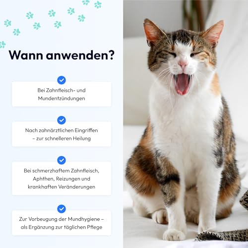 VET PROTECTOR - MUNDHÖHLE MUKO - Mundpflegepräparat für Hunde und Katzen - Zahnmedizinisches Gel - Schutz der Mundschleimhaut - Vorbeugung von Zahnfleischentzündungen und Plaque