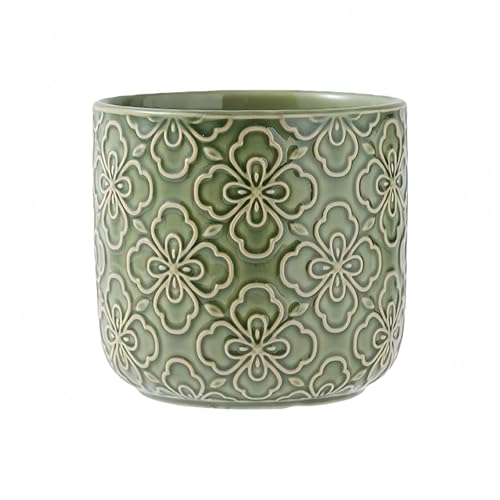 SLLS �Z���~�b�N�A�ؔ� �k���� �~���` �r�����t�� �\�[�T�[�t�� �������O���p �C���e���A�p (�C���y���A���O���[��)