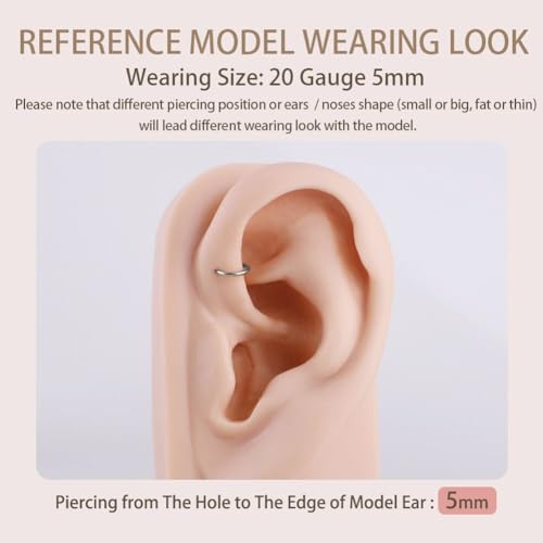Image of FANSING Men Women 316L Surgical Steel Hinged Nose Rings Hoop for Nostril Septum Cartilage Helix Daith Tragus Rook Conch Lip Ear Lobe Piercings
