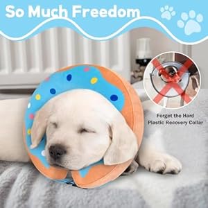 Inflatable dog collar dog donut cone collar soft recovery pet cone for small medium large dogs cats adjustable donut cone for post surgery recovery l   cucciolini doodles