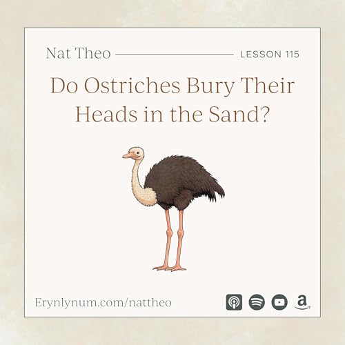Do Ostriches Bury Their Heads in the Sand? Lesson 115