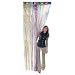 Fun Express Metallic Rainbow Foil Fringe Curtains (1 Piece) (3-Pack)
