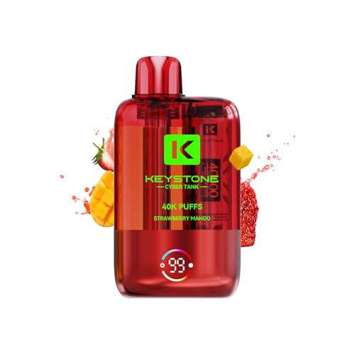 ĝ dq^oR KEYSTONE 40000z\ ^я[d V[V 1100mAh obe[ eʃLbh Type-C[d MTL/RDLΉ ։T|[gVAPE ׂv C΂  lCt[o[ jR`Ȃ ^
