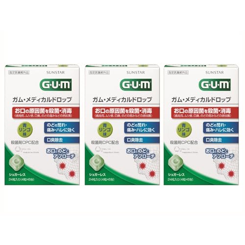 GUM(K) yw򕔊Oiz KEfBJhbv CPCz [S VK[X] <Êǂ̎EہE L ̂ǂ̍rEɂ݁En gїp Oop ̂ǈ> 24×3pbN