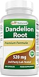 Best Naturals Dandelion Root 520 mg 250 Capsules