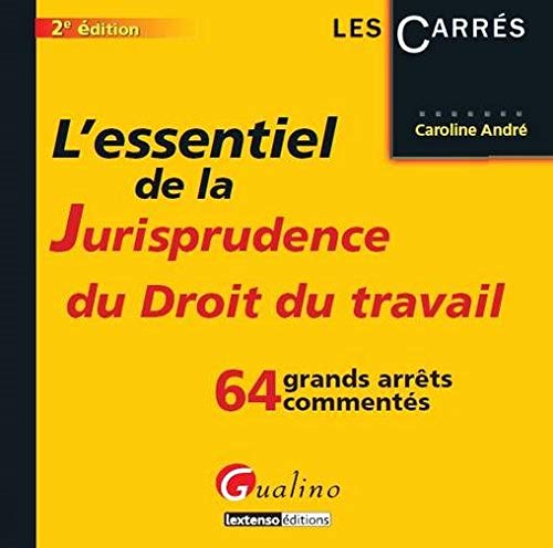 Télécharger L'essentiel de la jurisprudence du droit du travail PDF Ebook En Ligne