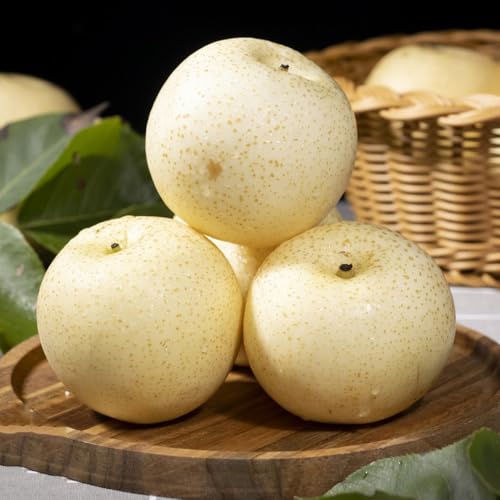 semi resistenti del pero - fresca, decorazione soggiorno di pero, decorazione, regali sostenibili in crescita, verdi, d'appartamento 350pcs