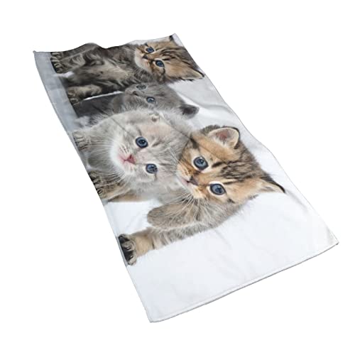 猫柄 バスタオル マイクロファイバー 高速吸水 速乾 耐久性 人気 安い ふわふわ 肌触り バスタオル 大判 瞬間吸水 抗菌防臭 ビッグ フェイスタオル 家庭用 業務用 40x70cmのサムネイル