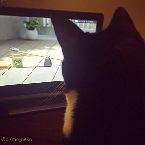 バットマンみたいな柄が可愛い 飼い主さんを添い寝待ちする猫 ギズモさん の枕カバーが登場 Cat Press キャットプレス