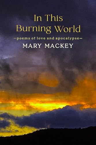 In This Burning World: Poems of Love and Apocalypse