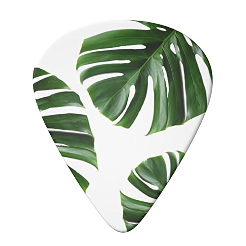 Lot de 6 médiators pour guitare acoustique et électrique Motif feuilles vertes - Les Beatles, Paul McCartney, John Lennon, RIngo Starr, George Harrison Lot de 6 médiators pour guitare acoustique et électrique Motif feuilles vertes – Image 4