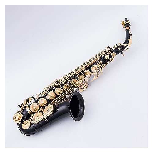 vtFbVi TbNX TbNX Eb tbgAgTbNXǊyS[hbLL[TbNXƃP[X}EXs[X