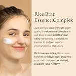 I'm from Rice Cream 1.76 Ounce, Rice Bran Essence with Ceramide, Glowing Look, Improves Moisture Skin Barrier, Deep Nourishment, Smooths and Evens Skin Tone, K-Beauty - Image 3