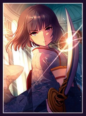 低価，安い】 C91 コミケ 混沌の女神様 オルタセット スリーブ FGO 新品