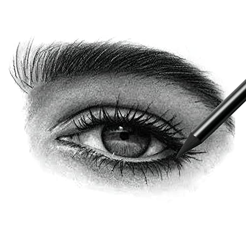 Kachikawa Artist Charcoal Sticks 24 Pcs Professional Manga Sketch Drawing Charcoal Pencil Black/Pencil Drawing Sketch Pencil Without Wood (Whole Lead Core 2B) #TOP6