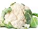 Early White Hybrid Cauliflower Seeds (52 Days) 360 Seeds Upc 646263361719 + 2 Free Plant Markers