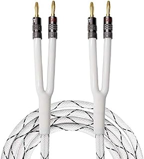 GearIT 12AWG Premium Heavy Duty Braided Speaker Wire (10 Feet) with Dual Gold